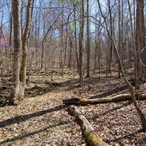 Photo #20 of 9 Oak Dr, Moneta, VA 5.3 acres