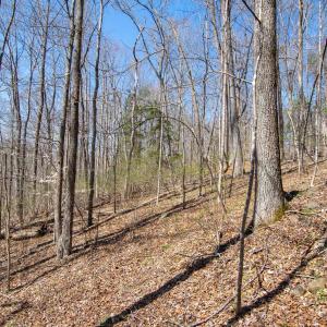 Photo #18 of 9 Oak Dr, Moneta, VA 5.3 acres