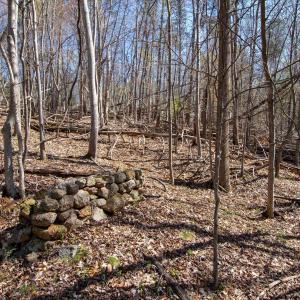 Photo #15 of 9 Oak Dr, Moneta, VA 5.3 acres