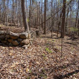 Photo #14 of 9 Oak Dr, Moneta, VA 5.3 acres