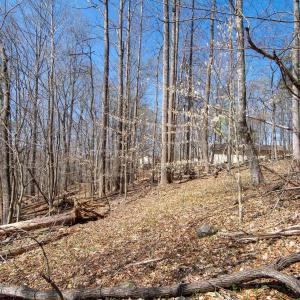Photo #17 of 9 Oak Dr, Moneta, VA 5.3 acres