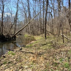 Photo #4 of Country Club Road, Appomattox, VA 6.2 acres