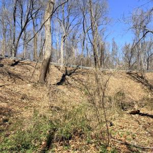 Photo #7 of Country Club Road, Appomattox, VA 6.2 acres