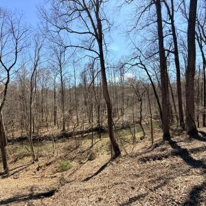 Photo #8 of Country Club Road, Appomattox, VA 6.2 acres