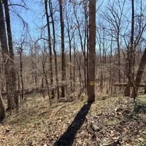 Photo #5 of Country Club Road, Appomattox, VA 6.2 acres