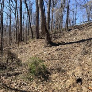 Photo #3 of Country Club Road, Appomattox, VA 6.2 acres