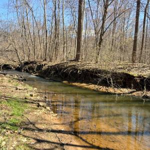 Photo #1 of Country Club Road, Appomattox, VA 6.2 acres