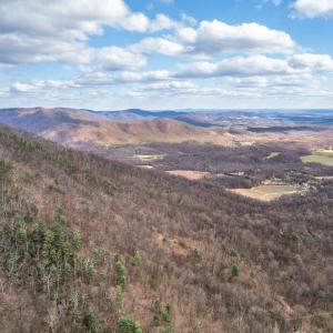 Photo #44 of 1215 Battery Hill Lane, Tyro, VA 37.1 acres