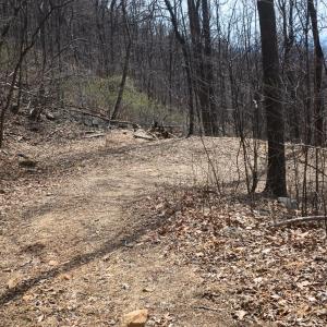 Photo #40 of 1215 Battery Hill Lane, Tyro, VA 37.1 acres