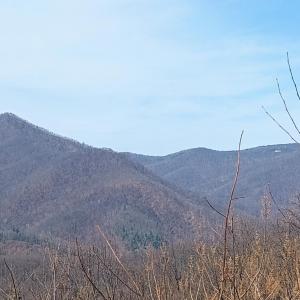 Photo #18 of 1215 Battery Hill Lane, Tyro, VA 37.1 acres