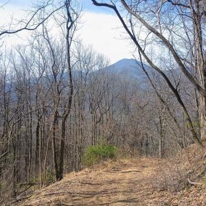 Photo #6 of 1215 Battery Hill Lane, Tyro, VA 37.1 acres