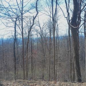 Photo #7 of 1215 Battery Hill Lane, Tyro, VA 37.1 acres