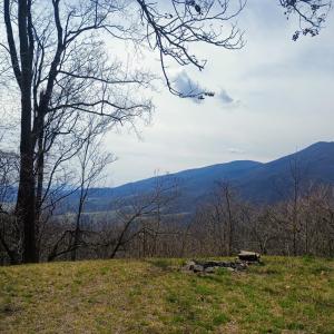 Photo #37 of 1215 Battery Hill Lane, Tyro, VA 37.1 acres