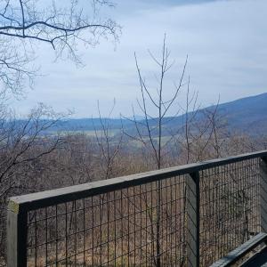 Photo #13 of 1215 Battery Hill Lane, Tyro, VA 37.1 acres