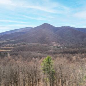 Photo #2 of 1215 Battery Hill Lane, Tyro, VA 37.1 acres