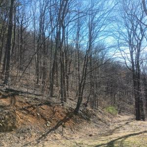 Photo #39 of 1215 Battery Hill Lane, Tyro, VA 37.1 acres