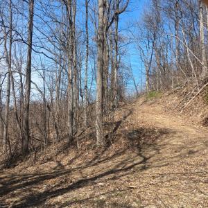 Photo #9 of 1215 Battery Hill Lane, Tyro, VA 37.1 acres
