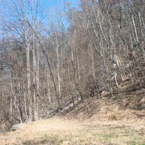 Photo #22 of 1215 Battery Hill Lane, Tyro, VA 37.1 acres
