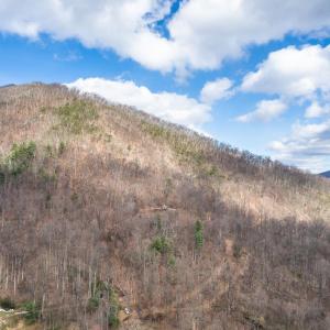 Photo #4 of 1215 Battery Hill Lane, Tyro, VA 37.1 acres