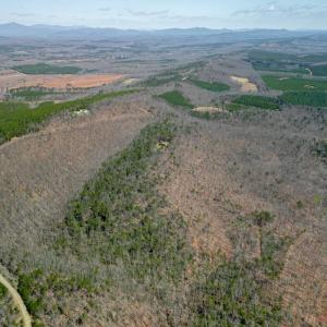 Photo #15 of Christian Mill Creek Road, Amherst, VA 51.1 acres