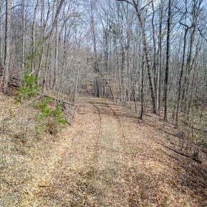 Photo #7 of Christian Mill Creek Road, Amherst, VA 51.1 acres