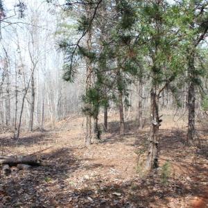 Photo #1 of Summerset Road, Gretna, VA 26.9 acres