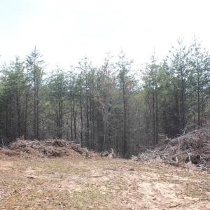 Photo #10 of Summerset Road, Gretna, VA 26.9 acres