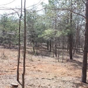 Photo #19 of Summerset Road, Gretna, VA 26.9 acres