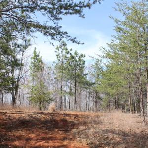 Photo #20 of Summerset Road, Gretna, VA 26.9 acres