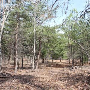 Photo #15 of Summerset Road, Gretna, VA 26.9 acres