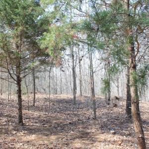 Photo #2 of Summerset Road, Gretna, VA 26.9 acres