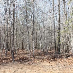 Photo #11 of Summerset Road, Gretna, VA 26.9 acres