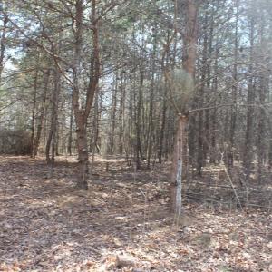 Photo #5 of Summerset Road, Gretna, VA 26.9 acres