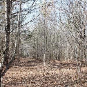 Photo #14 of Summerset Road, Gretna, VA 26.9 acres