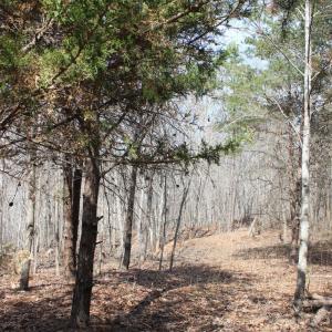 Photo #17 of Summerset Road, Gretna, VA 26.9 acres