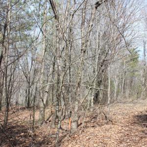 Photo #13 of Summerset Road, Gretna, VA 26.9 acres