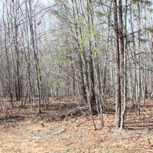 Photo #9 of Summerset Road, Gretna, VA 26.9 acres