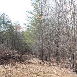 Photo #8 of Summerset Road, Gretna, VA 26.9 acres