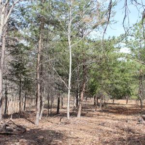 Photo #16 of Summerset Road, Gretna, VA 26.9 acres