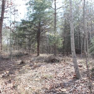 Photo #3 of Summerset Road, Gretna, VA 26.9 acres