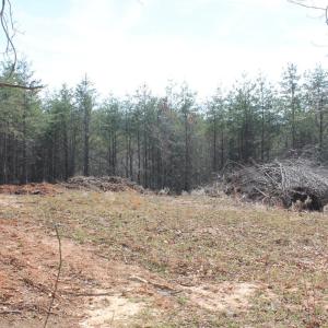 Photo #6 of Summerset Road, Gretna, VA 26.9 acres