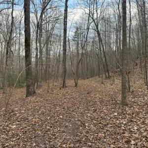 Photo #8 of Christian Mill Creek Rd Road, Amherst, VA 48.0 acres
