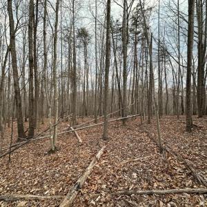 Photo #7 of Christian Mill Creek Rd Road, Amherst, VA 48.0 acres
