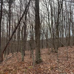 Photo #1 of Christian Mill Creek Rd Road, Amherst, VA 48.0 acres