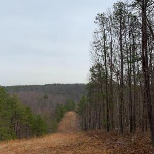 Photo #5 of Christian Mill Creek Rd Road, Amherst, VA 48.0 acres