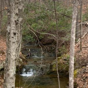 Photo #3 of Christian Mill Creek Rd Road, Amherst, VA 48.0 acres