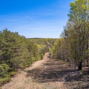 Photo #12 of Christian Mill Creek Rd Road, Amherst, VA 48.0 acres