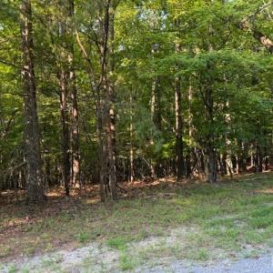 Photo #1 of 22 Woodshire Drive, Blue Ridge, VA 5.1 acres