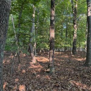 Photo #5 of 22 Woodshire Drive, Blue Ridge, VA 5.1 acres