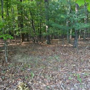 Photo #9 of 22 Woodshire Drive, Blue Ridge, VA 5.1 acres